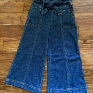 Anthropologie Pilcro and the Letterpress Cropped Wide Leg Jeans 26P